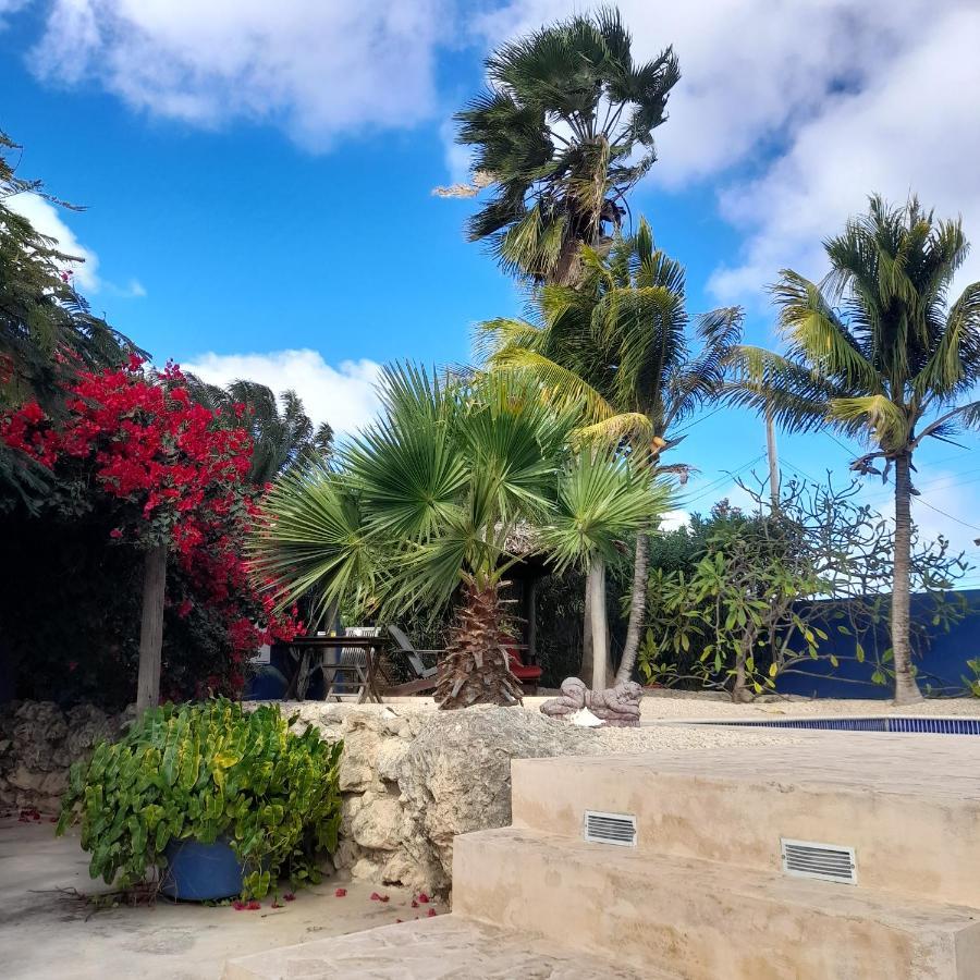 Caribbean Chillout Apartments クラレンダイク エクステリア 写真