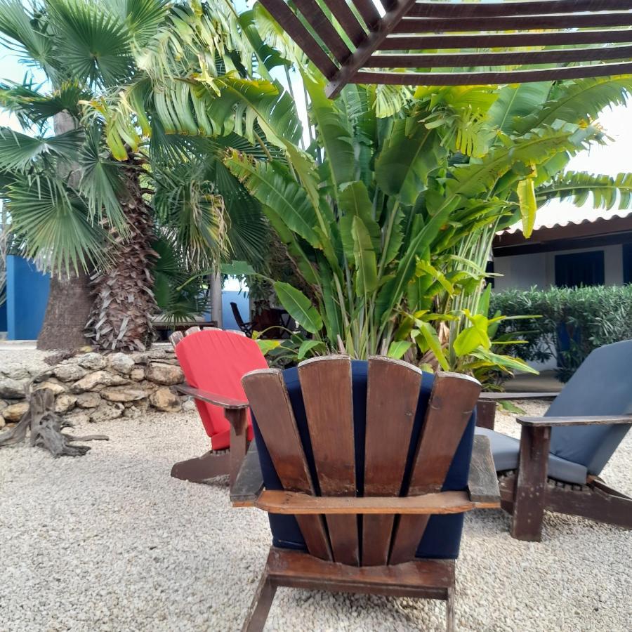 Caribbean Chillout Apartments クラレンダイク エクステリア 写真