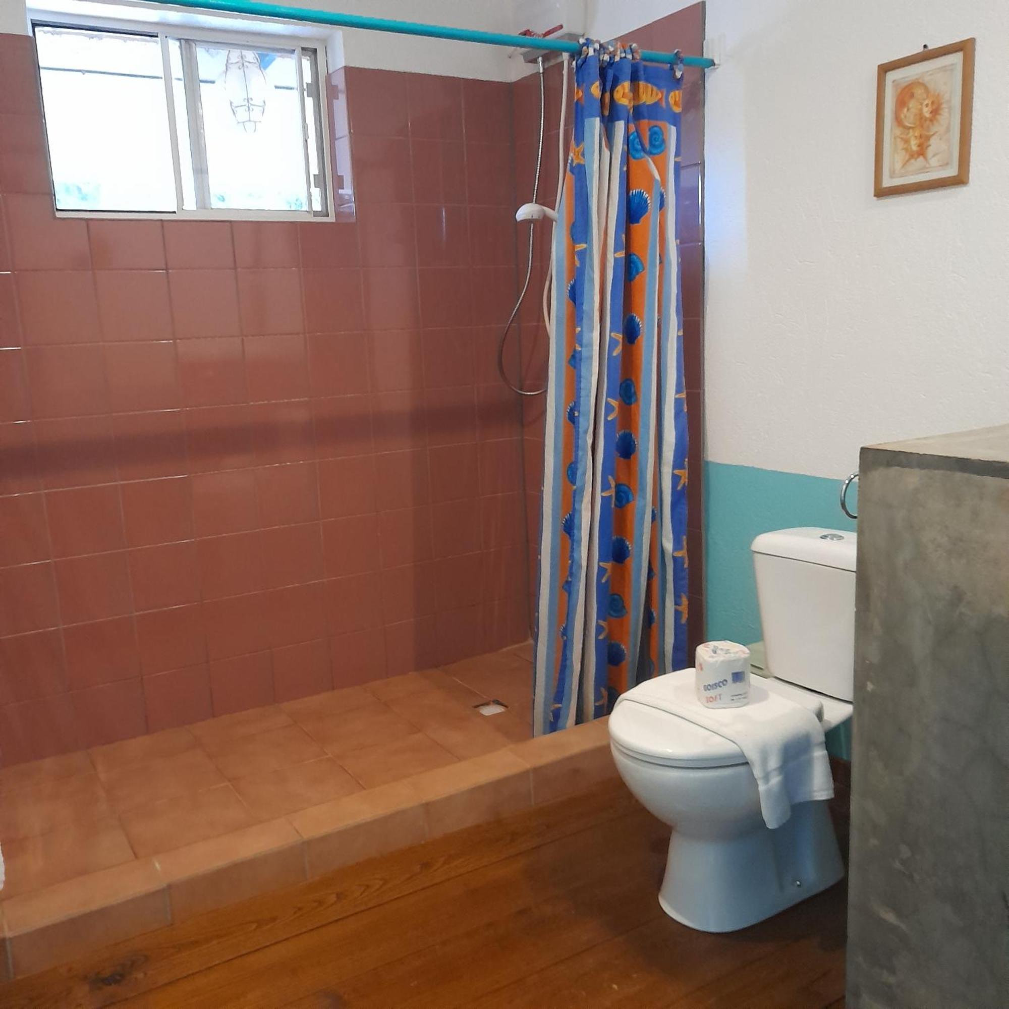 Caribbean Chillout Apartments クラレンダイク エクステリア 写真