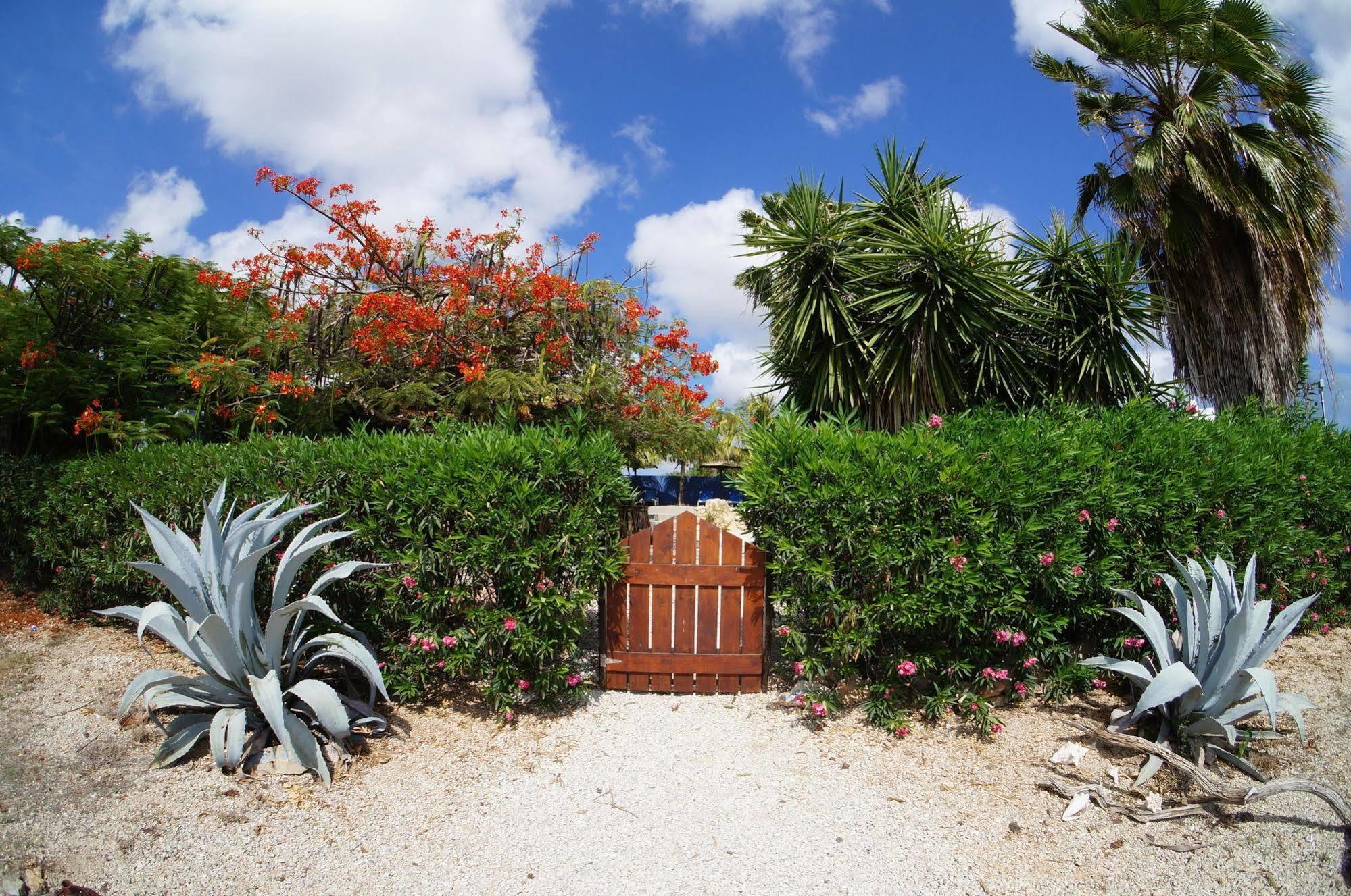 Caribbean Chillout Apartments クラレンダイク エクステリア 写真